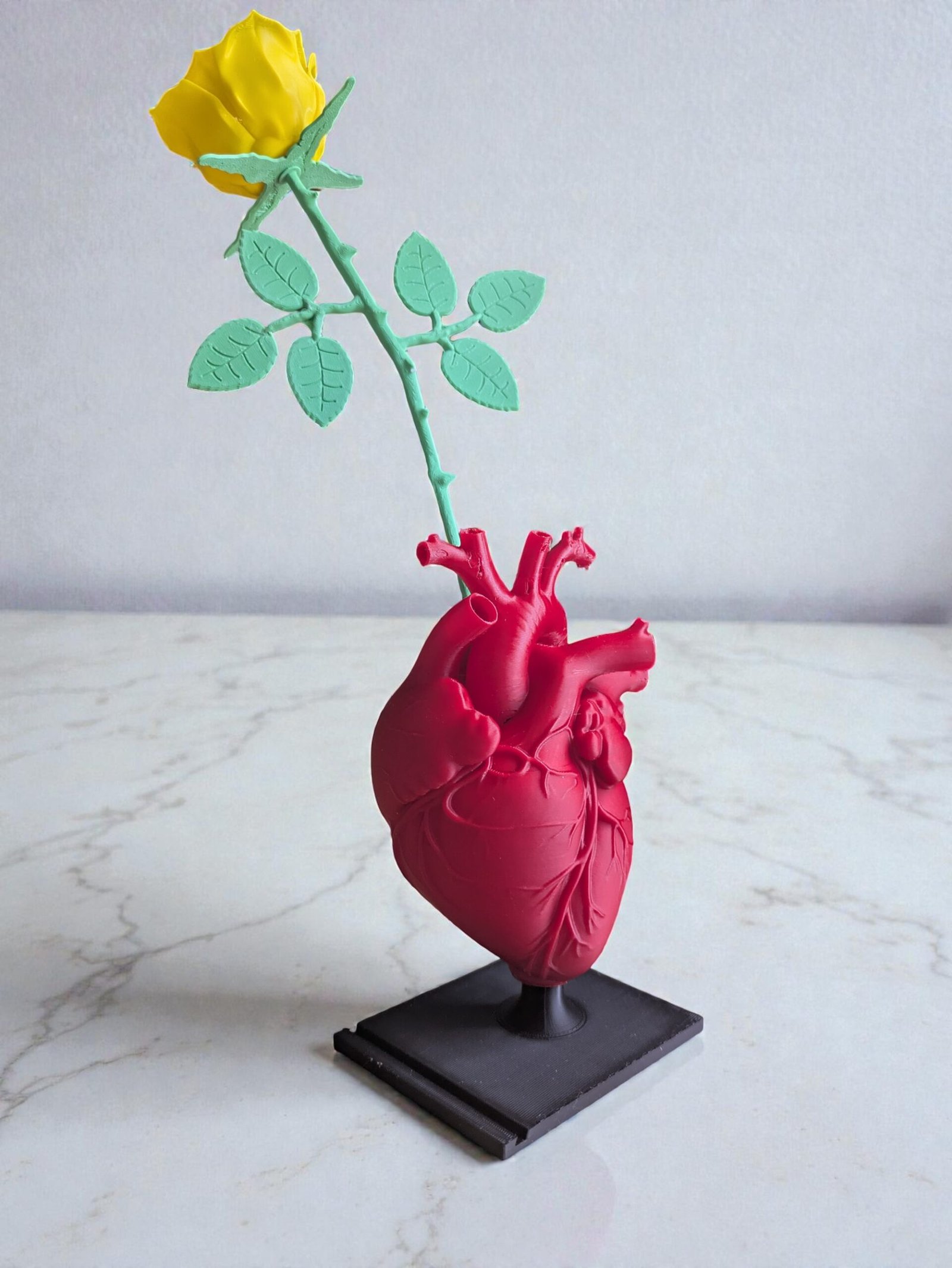 Vase Cœur Anatomique & 1 Rose Éternelle – Ton message, son cœur !  (15cm)